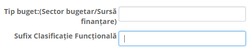 Câmpurile de tip buget și sufix clasificație